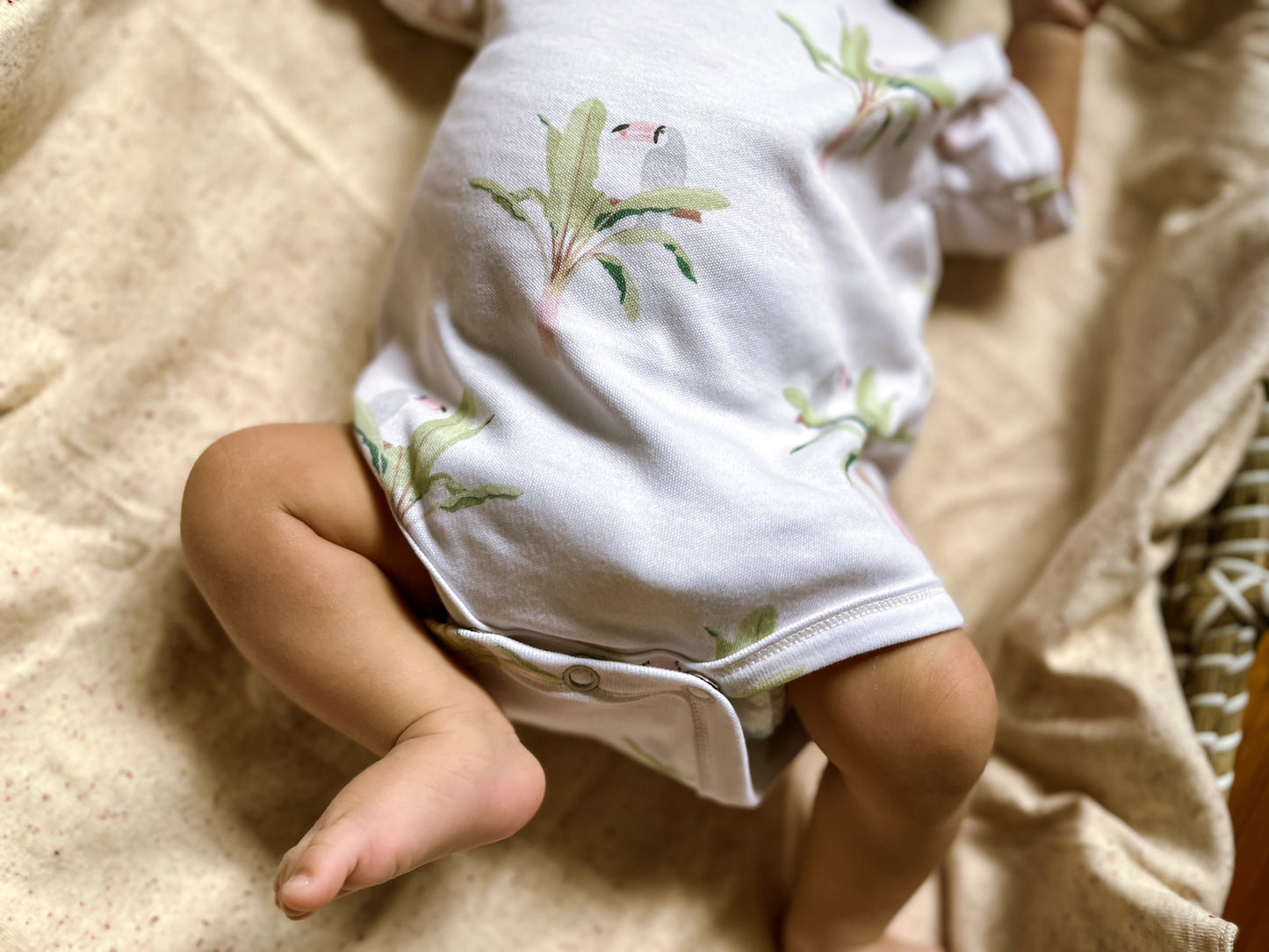 ORGANIC Toucan Short-Sleeved Bodysuit